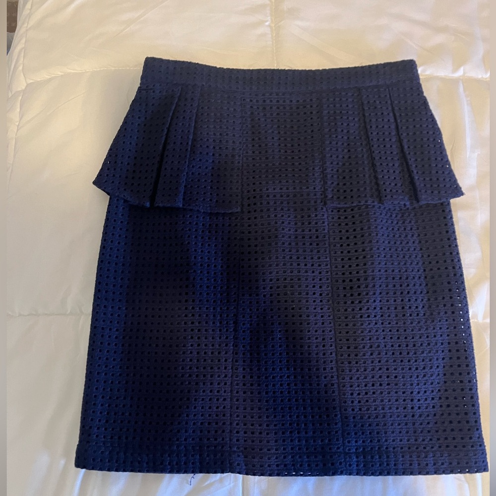 Chic Navy Skirt